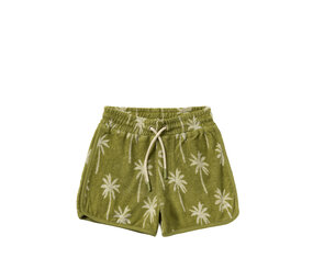 Salted Stories Short Beach Palms Iguana