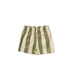 Salted Stories Zwembroek Wide Stripe Iguana