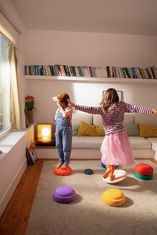 Stapelstein Water Lily Special Original Rainbow Classic