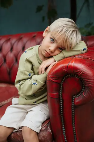 Stains & Stories Short Stone