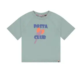 Stains & Stories Shirt Short Sleeve Mint