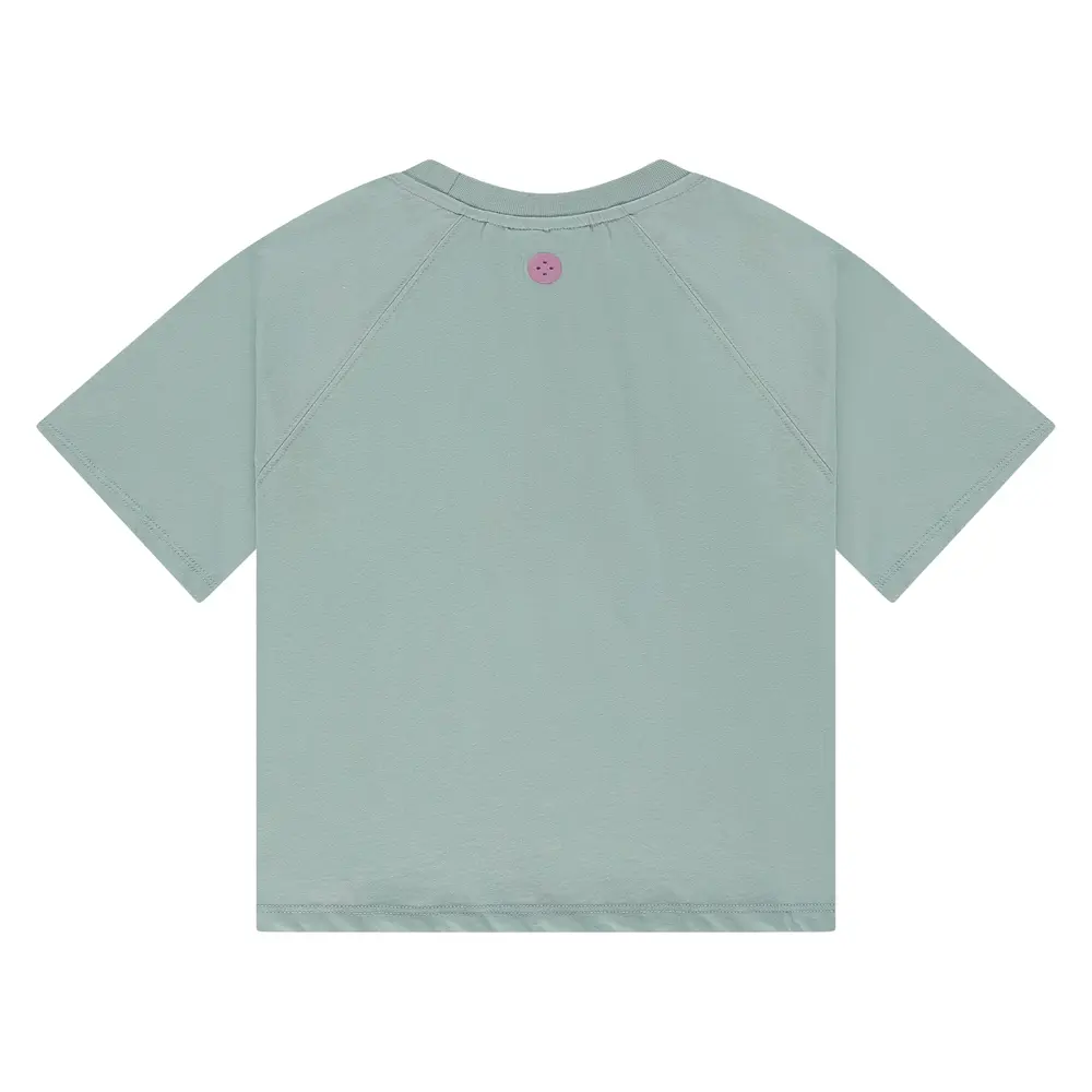 Stains & Stories Shirt Short Sleeve Mint