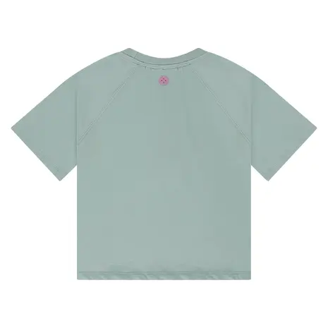 Stains & Stories Shirt Short Sleeve Mint