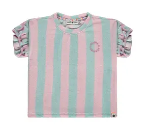 Stains & Stories Shirt Short Sleeve Mint