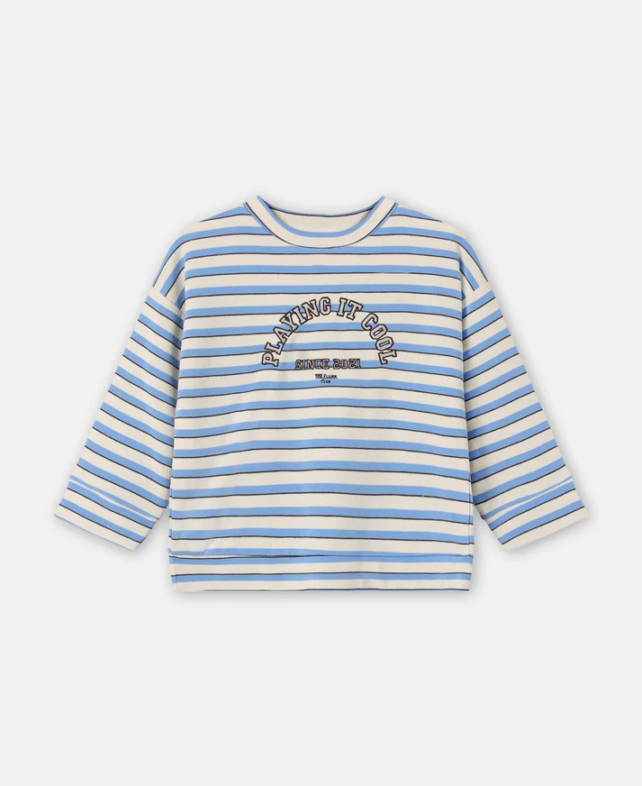 Sweatshirt Alvin Stripe afbeelding