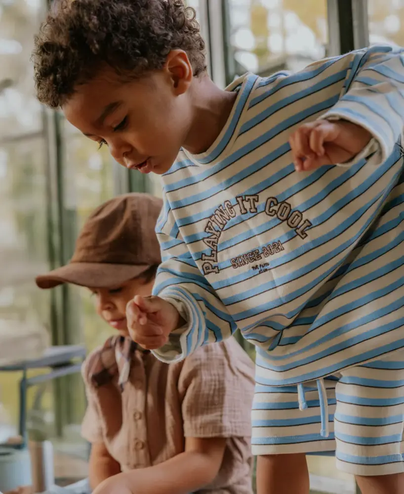 Fliink Sweatshirt Alvin Stripe