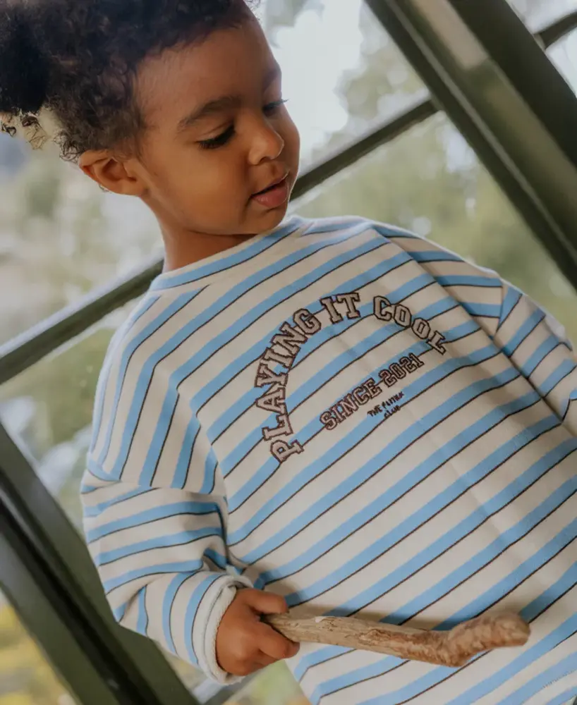 Fliink Sweatshirt Alvin Stripe