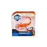 Hex Bots Scorpion