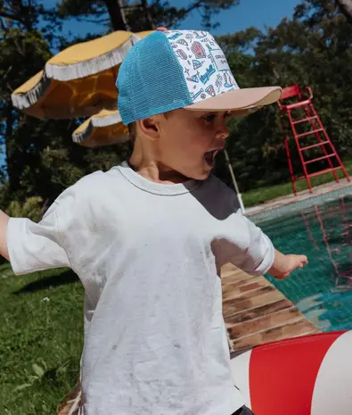 Hello Hossy Pet Baseball Game