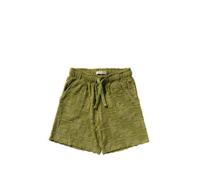 Your Wishes Short Relaxed Wave Iguana