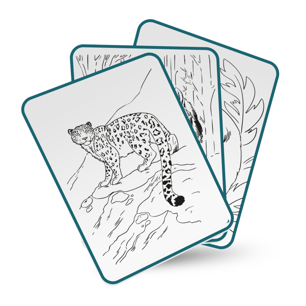 KidyWolf KIDYDRAW PAD Animals