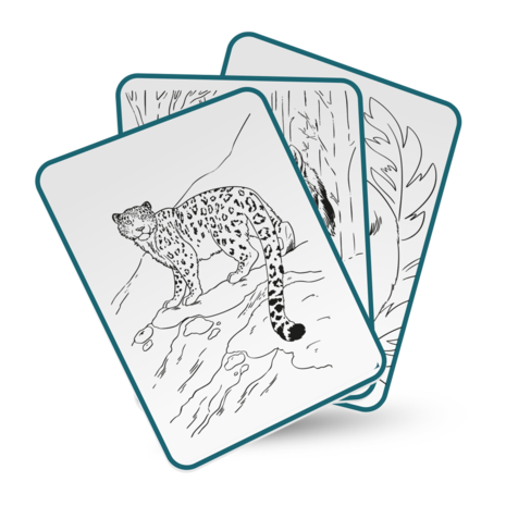 KidyWolf KIDYDRAW PAD Animals