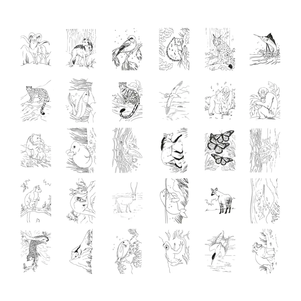 KidyWolf KIDYDRAW PAD Animals