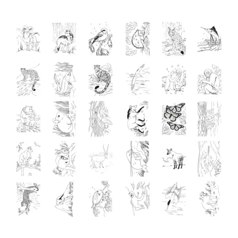 KidyWolf KIDYDRAW PAD Animals