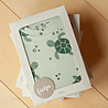 Feetje Pyjama's Pyjama Premium Sleepwear Timmy Turtle