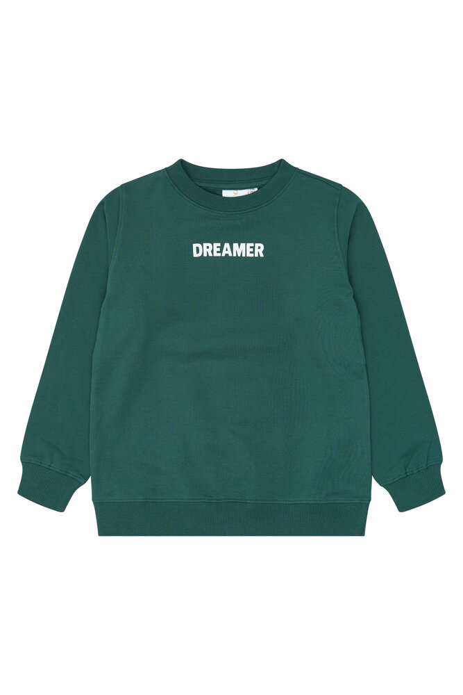 The New Villard Sweatshirt June Bug The New Villard Sweatshirt June Bug