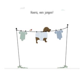 Mevrouw Emmer Wenskaart Hoera, een jongen! Waslijn Mevrouw Emmer Wenskaart Hoera, een jongen! Waslijn