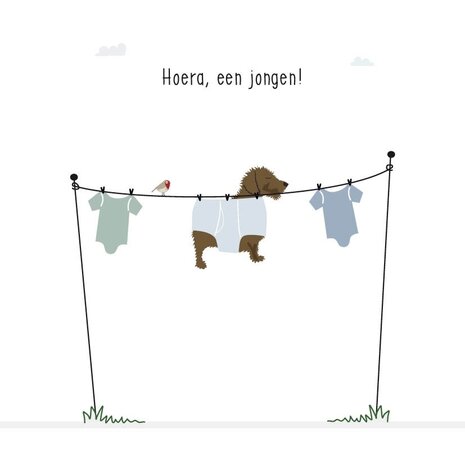 Mevrouw Emmer Wenskaart Hoera, een jongen! Waslijn Mevrouw Emmer Wenskaart Hoera, een jongen! Waslijn