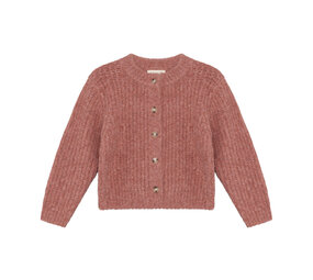 EnFant Gebreid Vest Burlwood