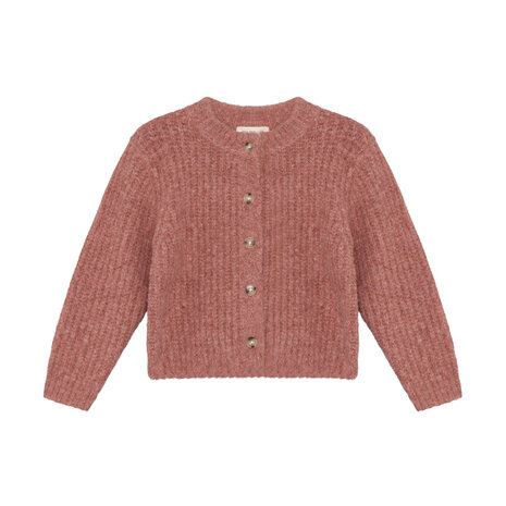 EnFant Gebreid Vest Burlwood