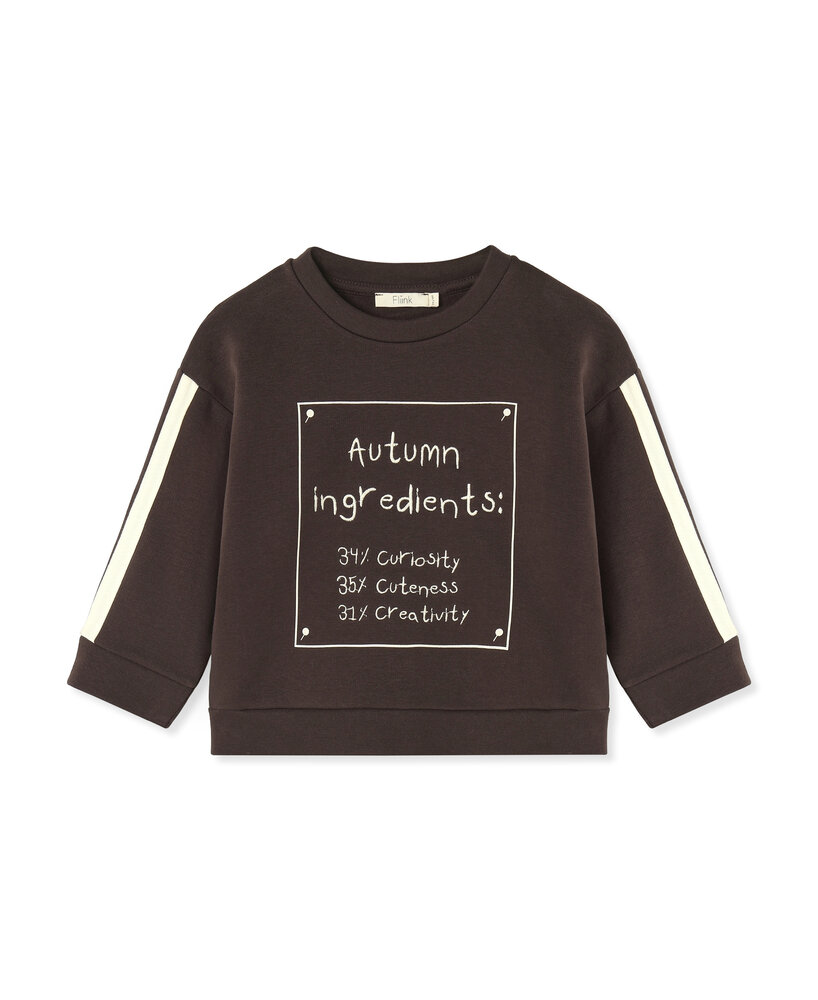 Fliink Alvin Autumn Cosy Sweatshirt Coffee Bean Fliink Alvin Autumn Cosy Sweatshirt Coffee Bean