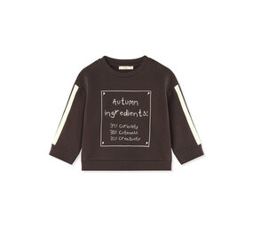 Fliink Alvin Autumn Cosy Sweatshirt Coffee Bean