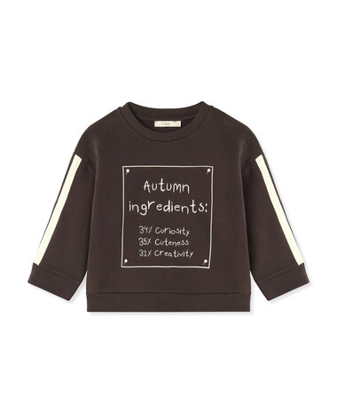 Fliink Alvin Autumn Cosy Sweatshirt Coffee Bean Fliink Alvin Autumn Cosy Sweatshirt Coffee Bean