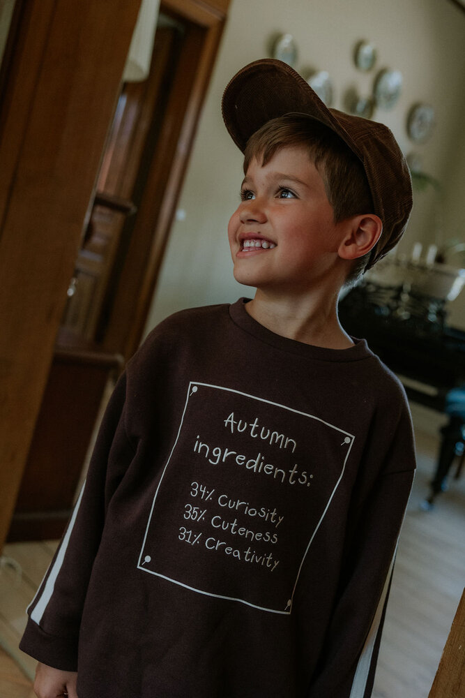 Fliink Alvin Autumn Cosy Sweatshirt Coffee Bean Fliink Alvin Autumn Cosy Sweatshirt Coffee Bean