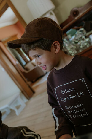 Fliink Alvin Autumn Cosy Sweatshirt Coffee Bean Fliink Alvin Autumn Cosy Sweatshirt Coffee Bean
