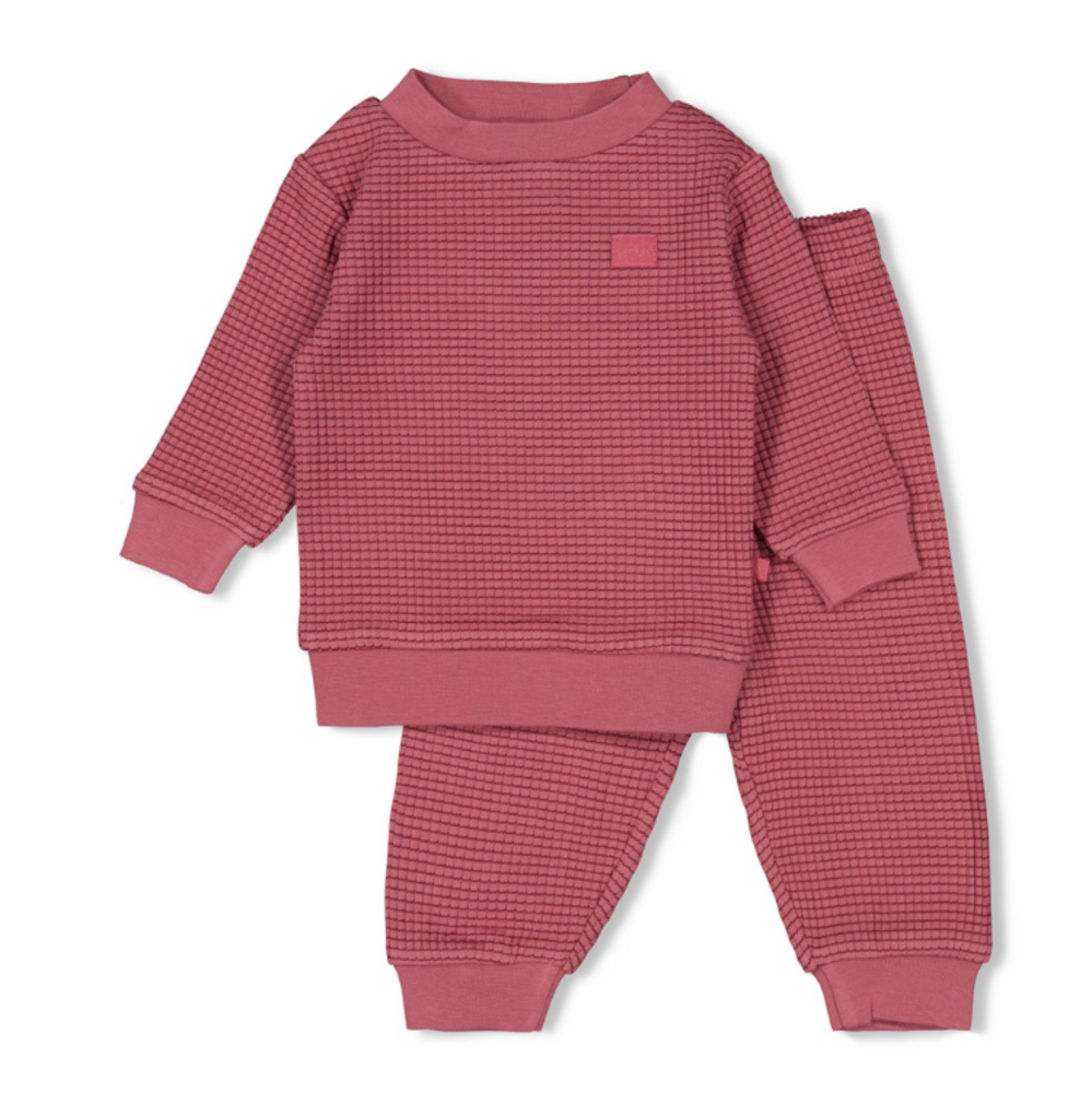 Feetje Pyjama's Pyjama Family Edition Berry Feetje Pyjama's Pyjama Family Edition Berry