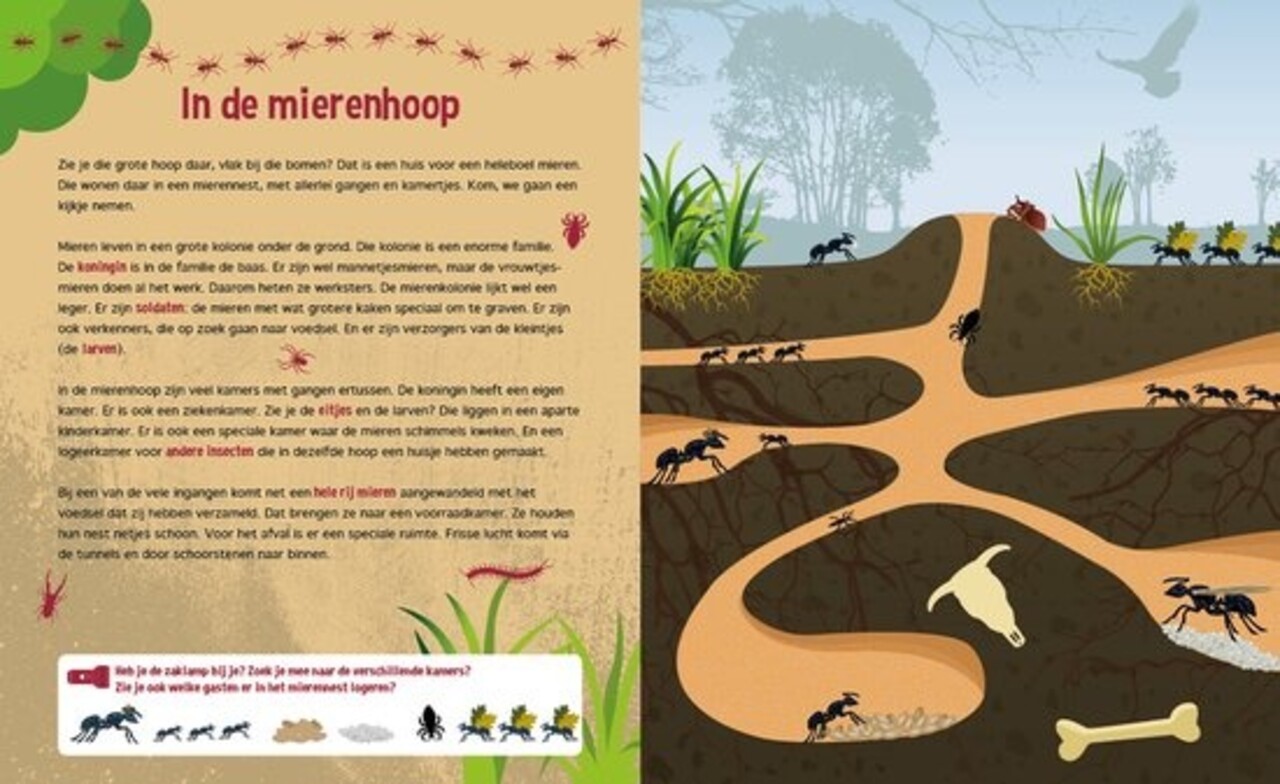 Speuren Onder De Grond Speuren Onder De Grond