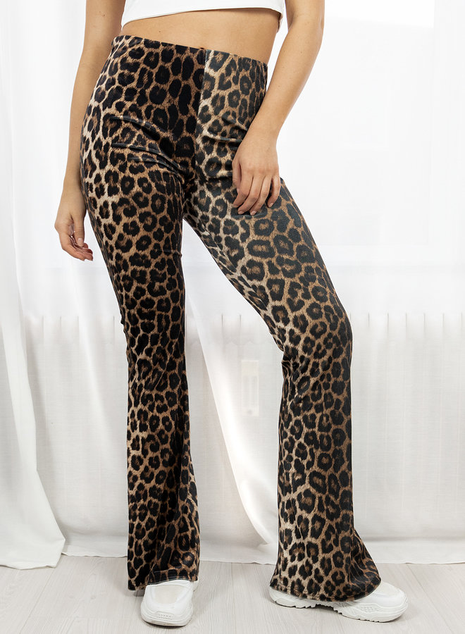 Leopard flared broek