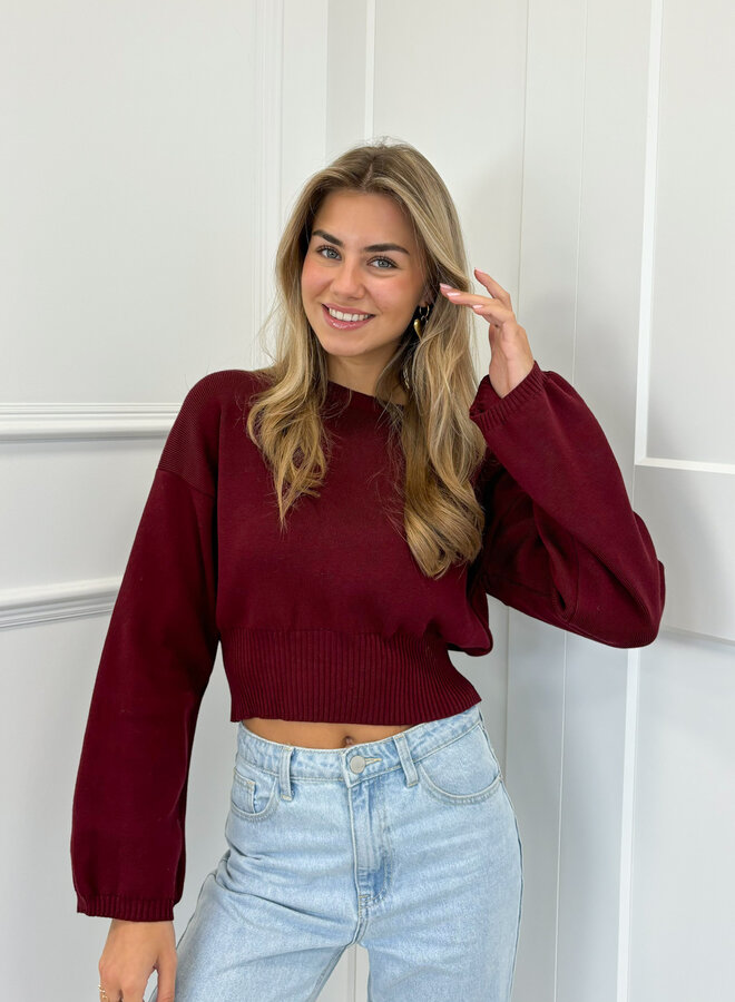 Trui June bordeaux