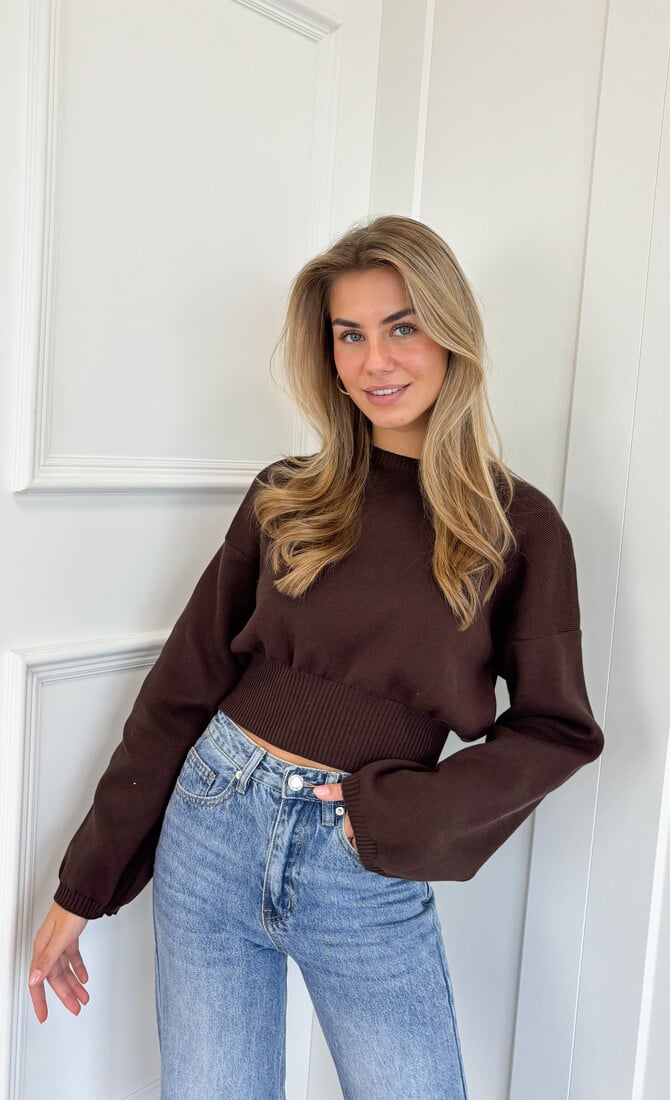 Trui June bruin
