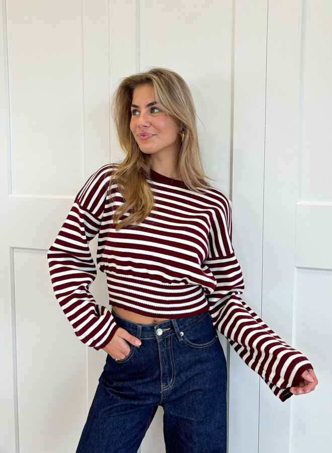 Strepen trui Hazel bordeaux