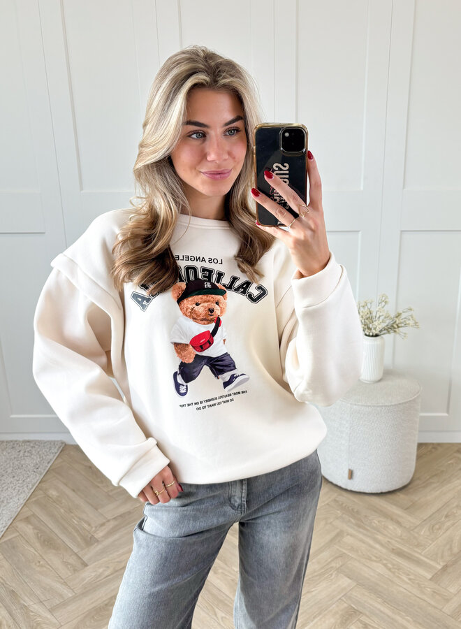 Sweater Teddy beige