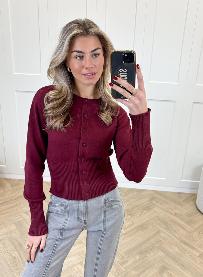 Trui Blake bordeaux