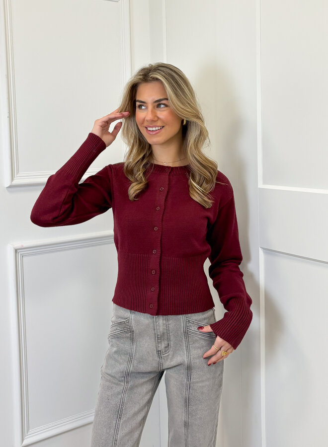 Trui Blake bordeaux