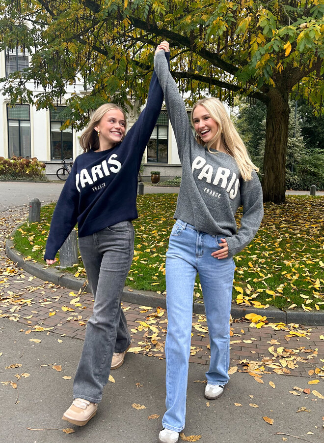 Meet me in Paris grijs
