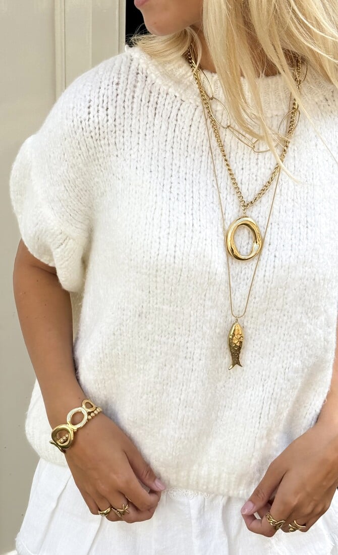 Ketting met vis bedel