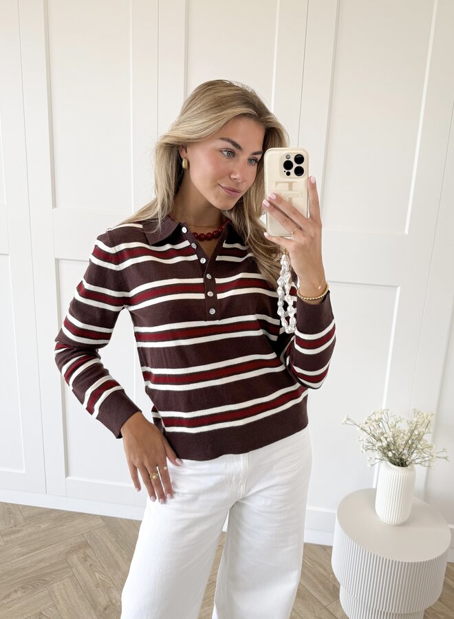 Polo sweater Maren bruin