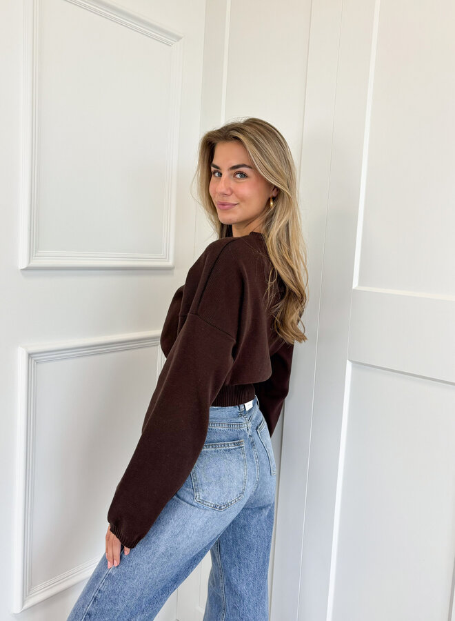 Trui June bruin