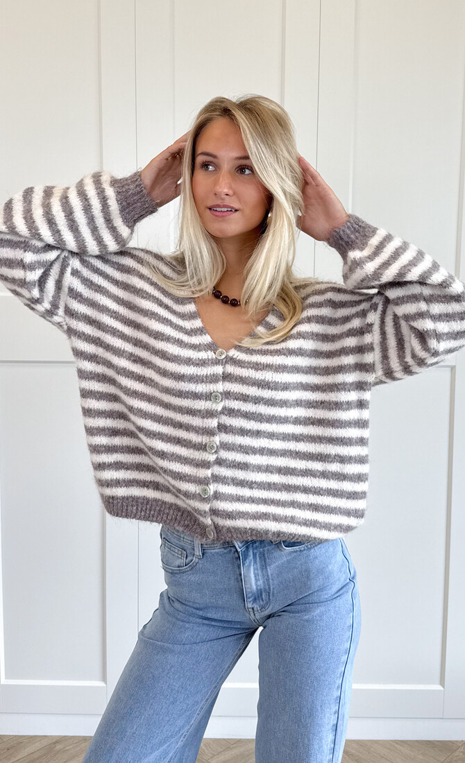 Vest Sophie taupe
