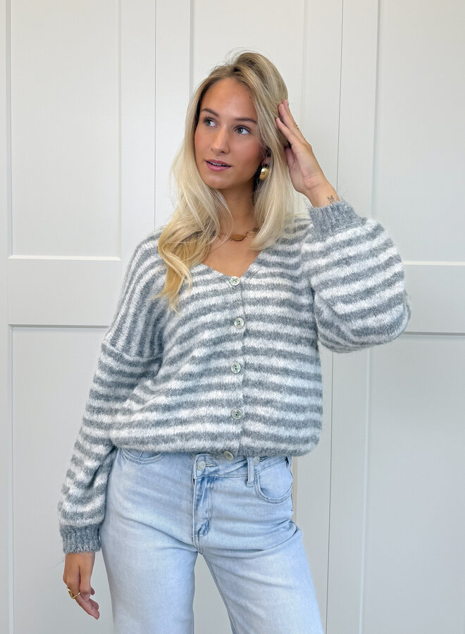 Vest Sophie grijs