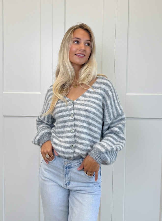 Vest Sophie grijs