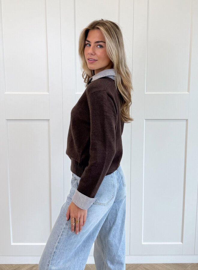 Sweater blouse Fiona bruin