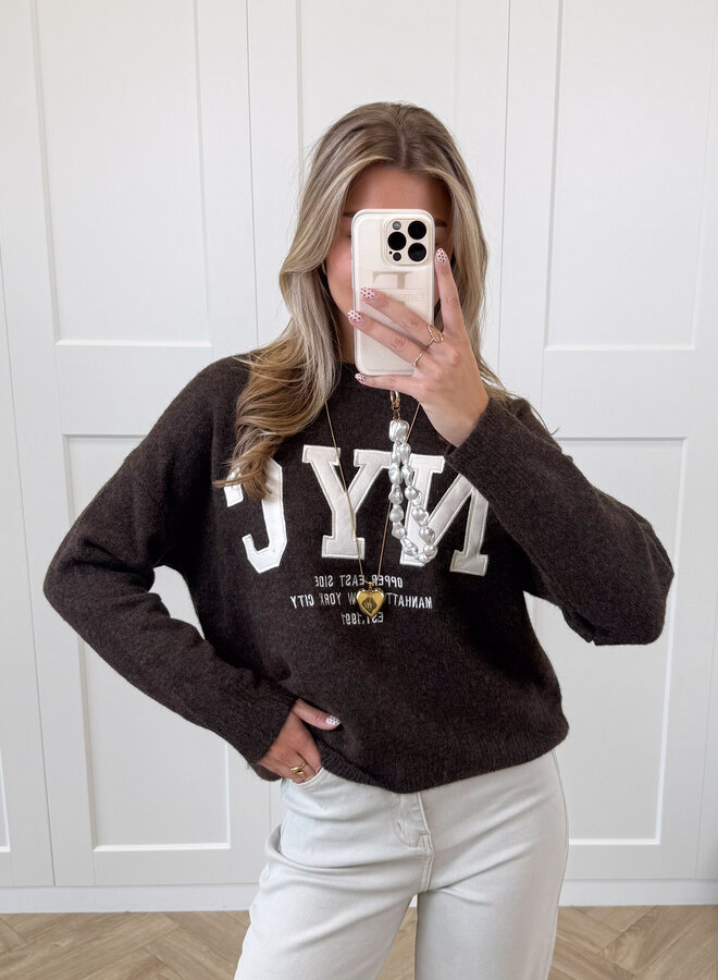 Trui NYC bruin