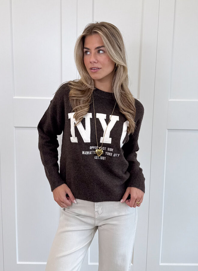 Trui NYC bruin