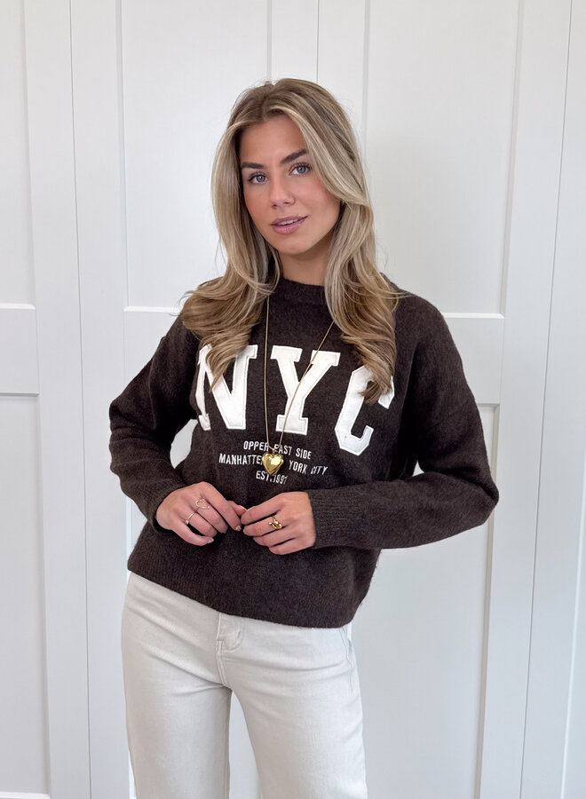 Trui NYC bruin