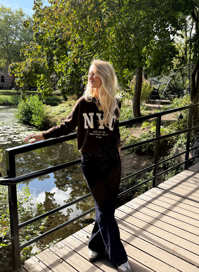 Trui NYC bruin